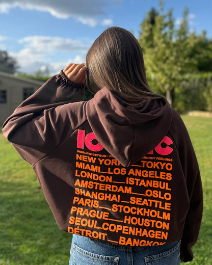Sweat capuche Iconic marron
