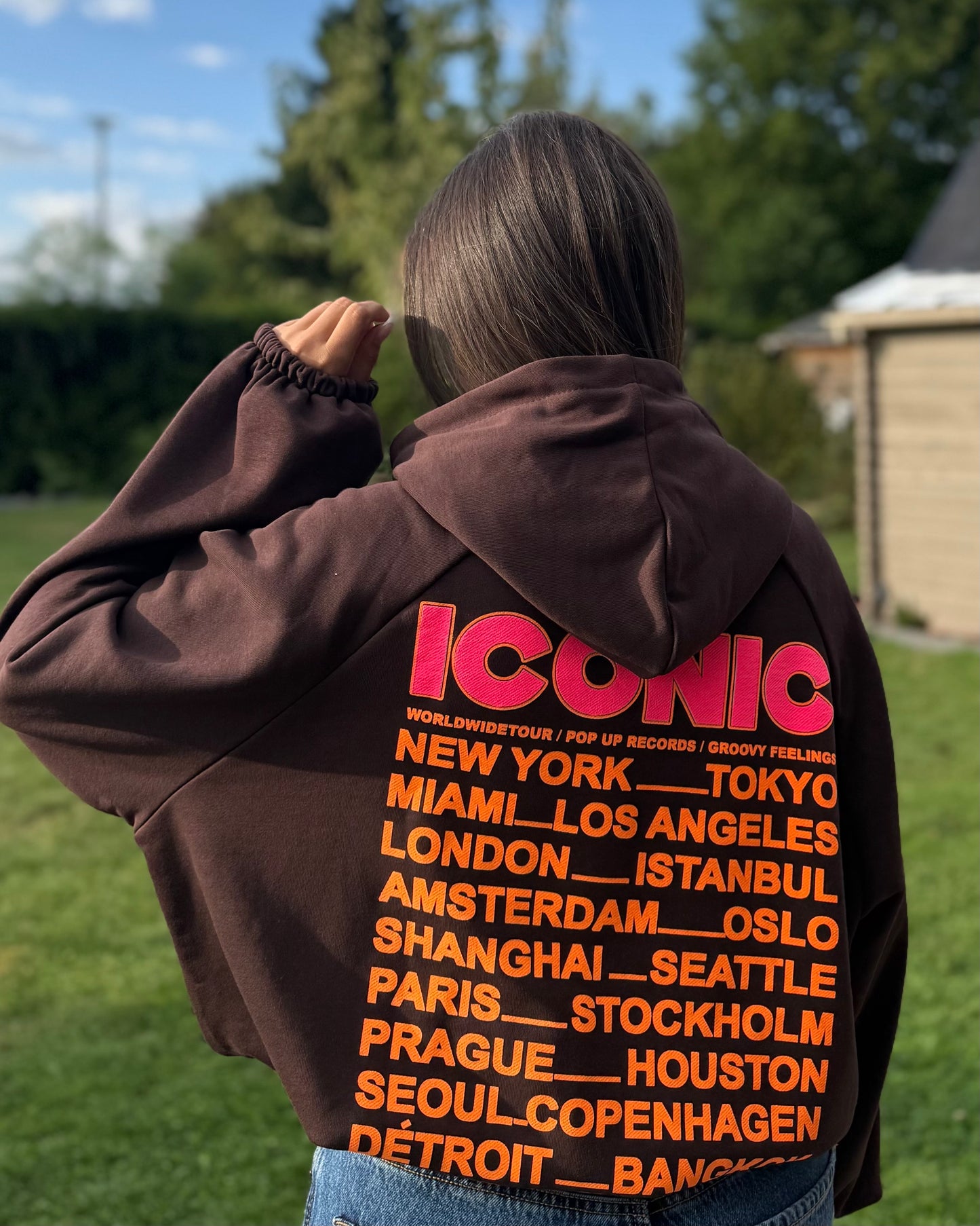 Sweat capuche Iconic marron
