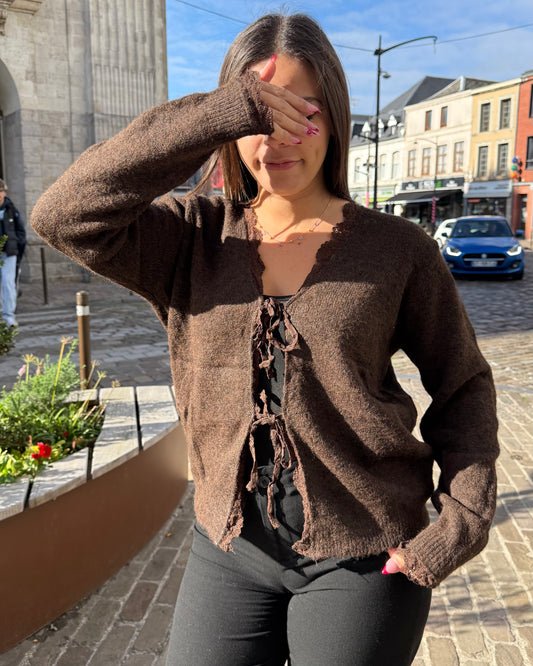 Pull marron