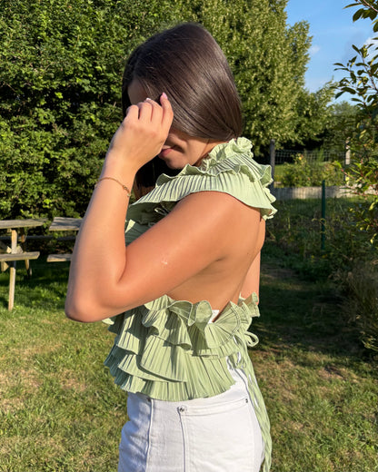 Haut Inaya vert