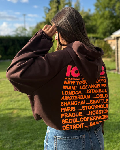 Sweat capuche Iconic marron
